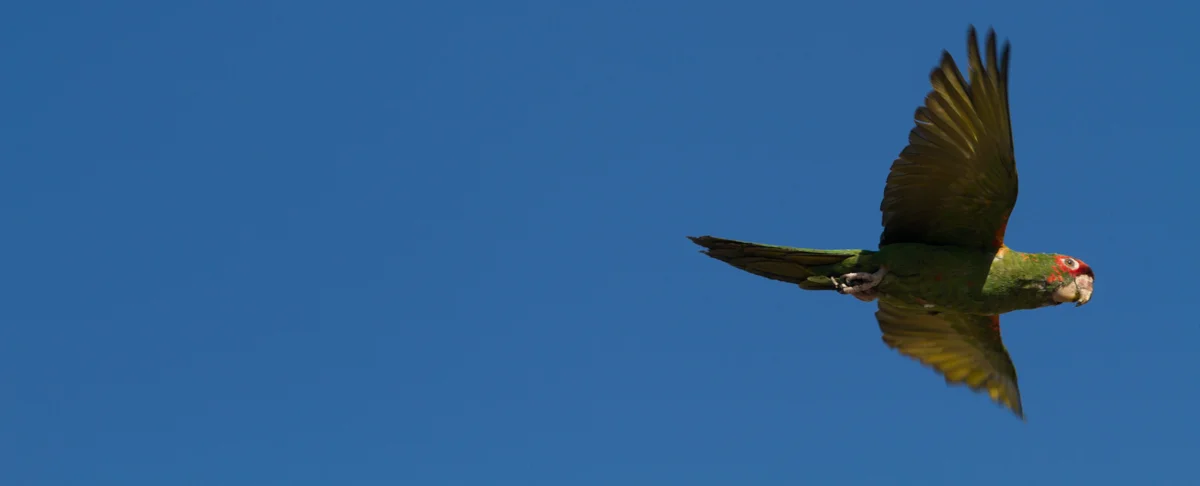 IMG_7865.jpg