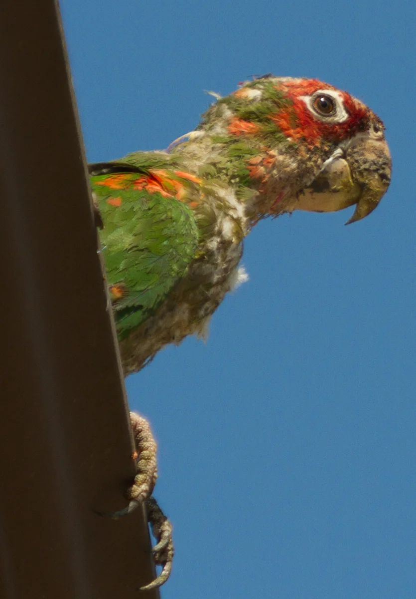 IMG_7756.jpg