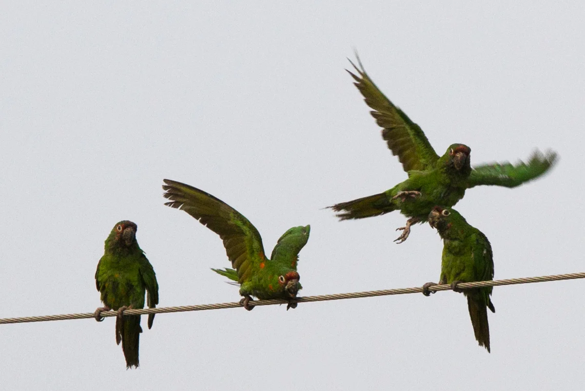 IMG_0342.jpg