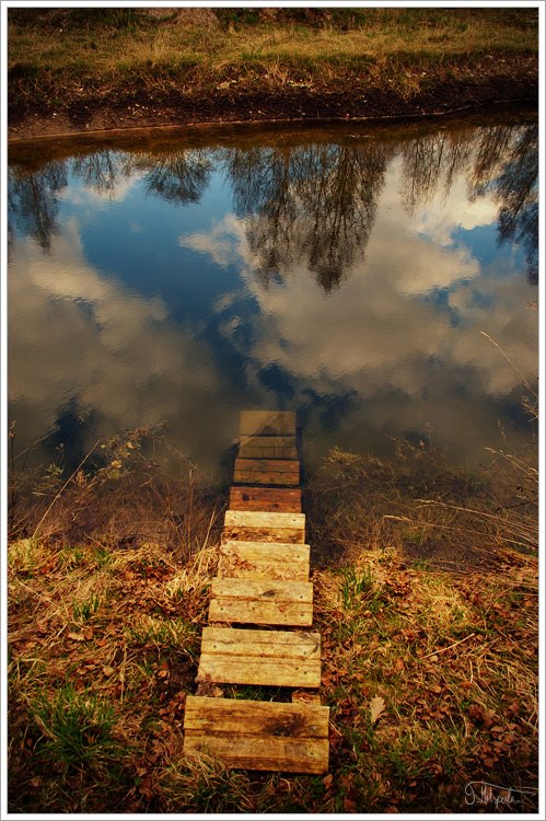 © T. Metspalu