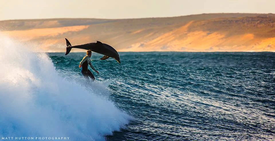 Photo by Matt Hutton