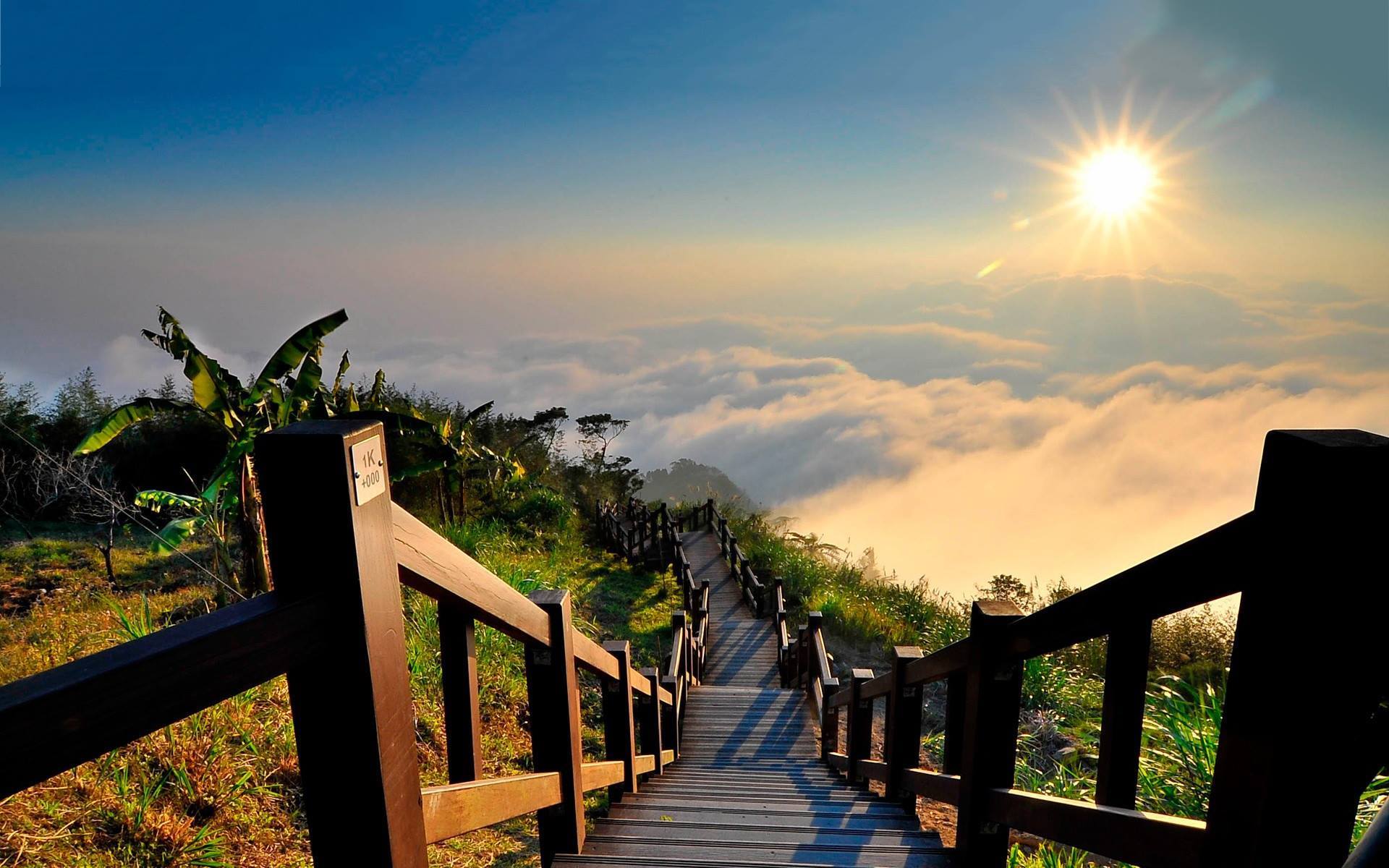Stairs to Heaven, Yushan National Park, Taiwan // Source » awesomeplacestovisit.com
