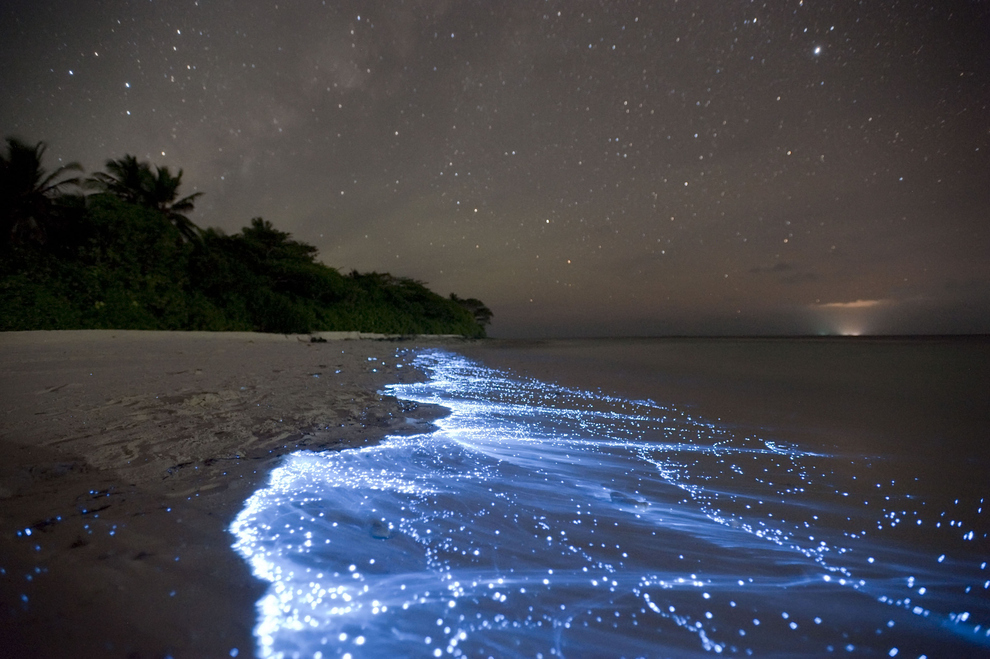 Photo by Doug Perinne