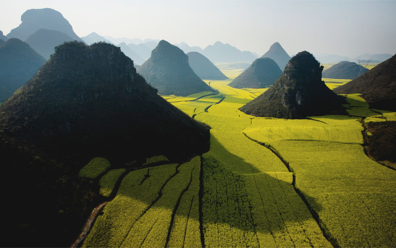 Photo by Stefan Forster