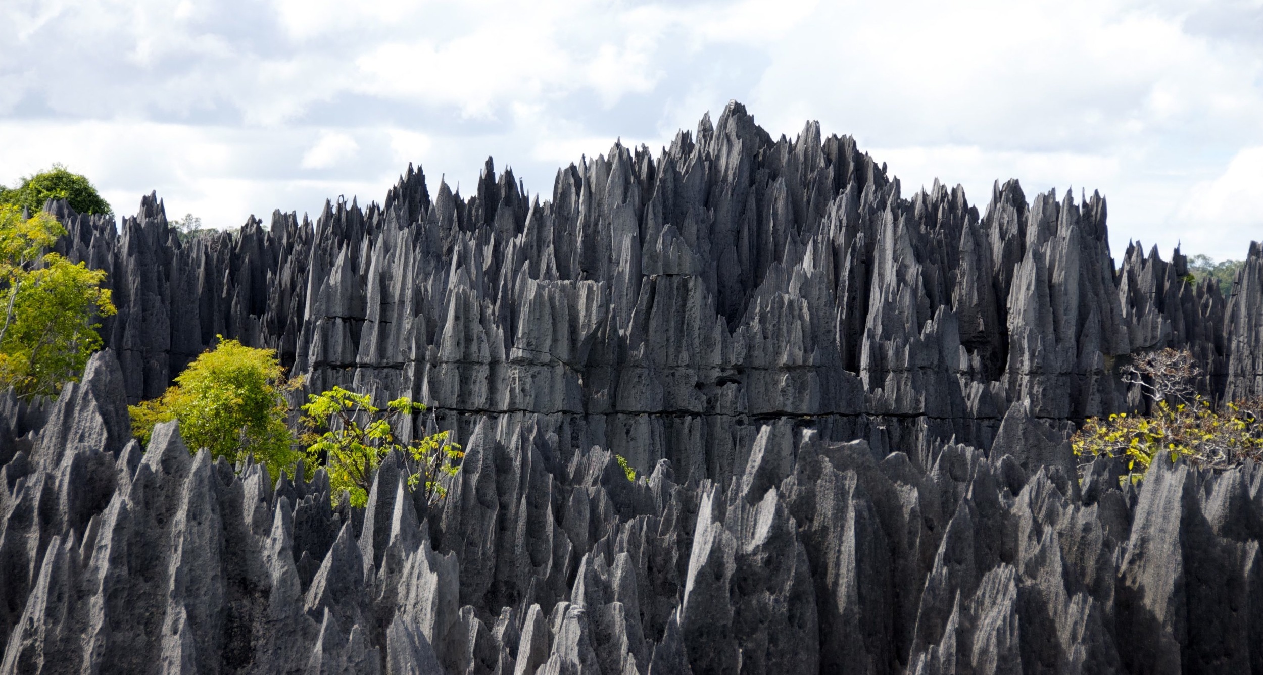 Плотный остро. Цинги-де-Бемараха каменный лес на Мадагаскаре. Цинжи-дю-Бемараха. Заповедник Цинжи-дю-Бемараха Мадагаскар. Каменный лес Цинжи-дю-Бемараха.