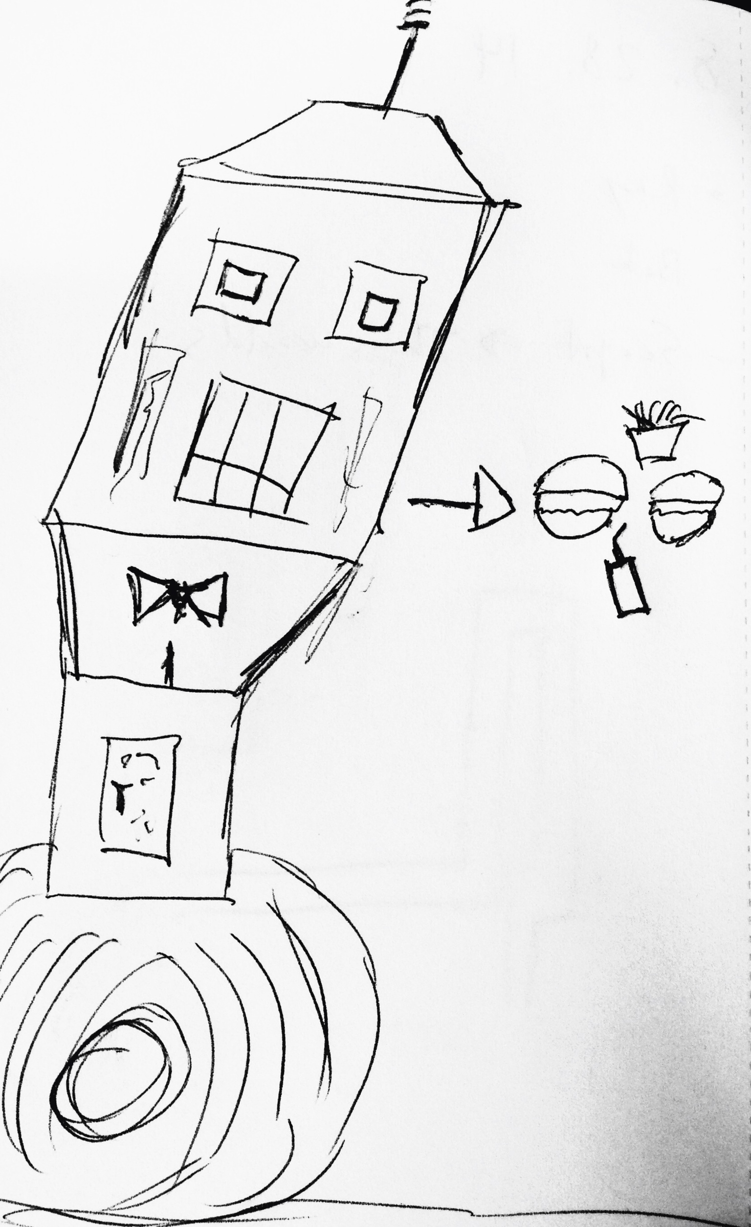 Singularity; the robot