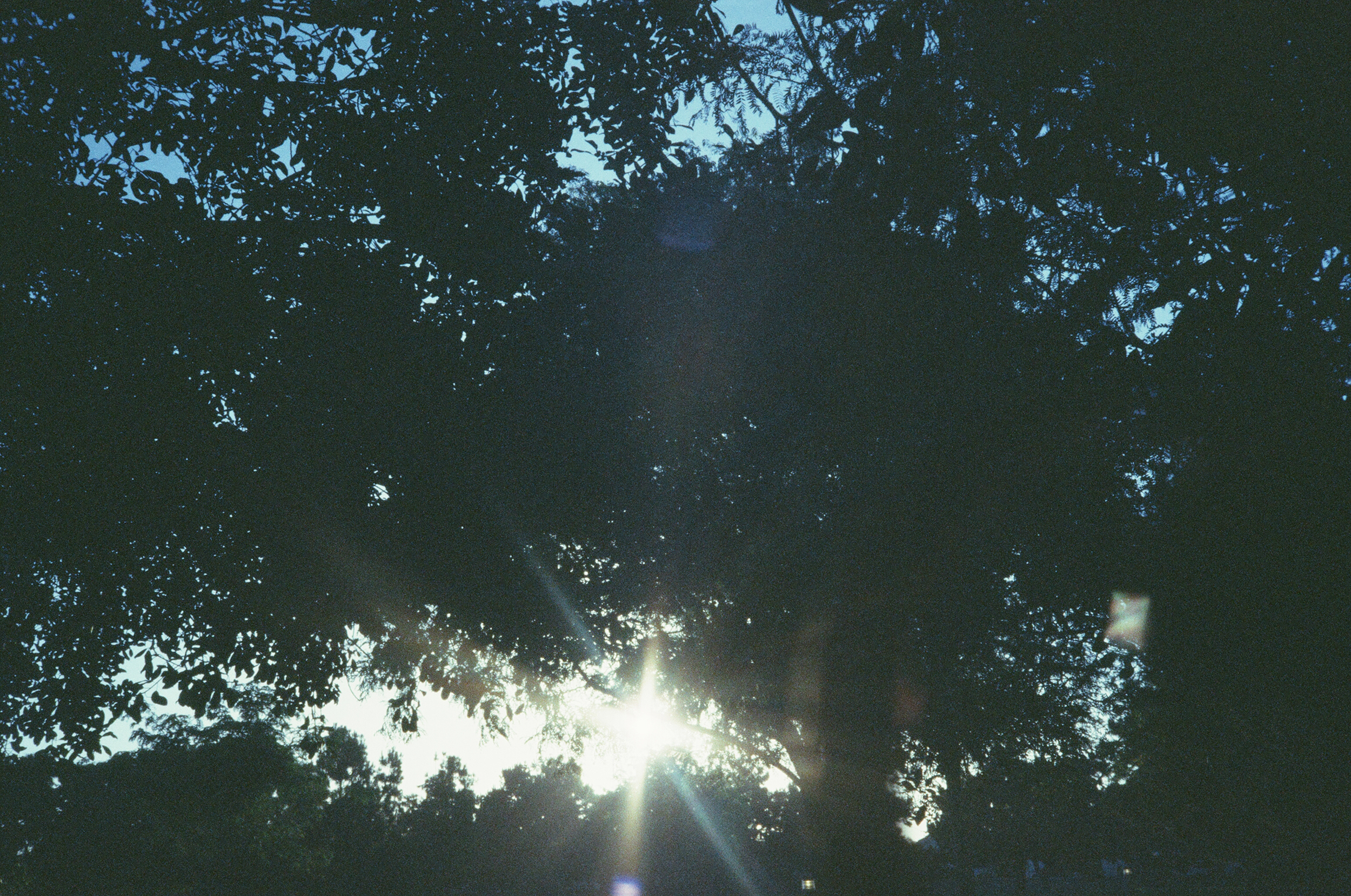 an image from THREE WORLDS....