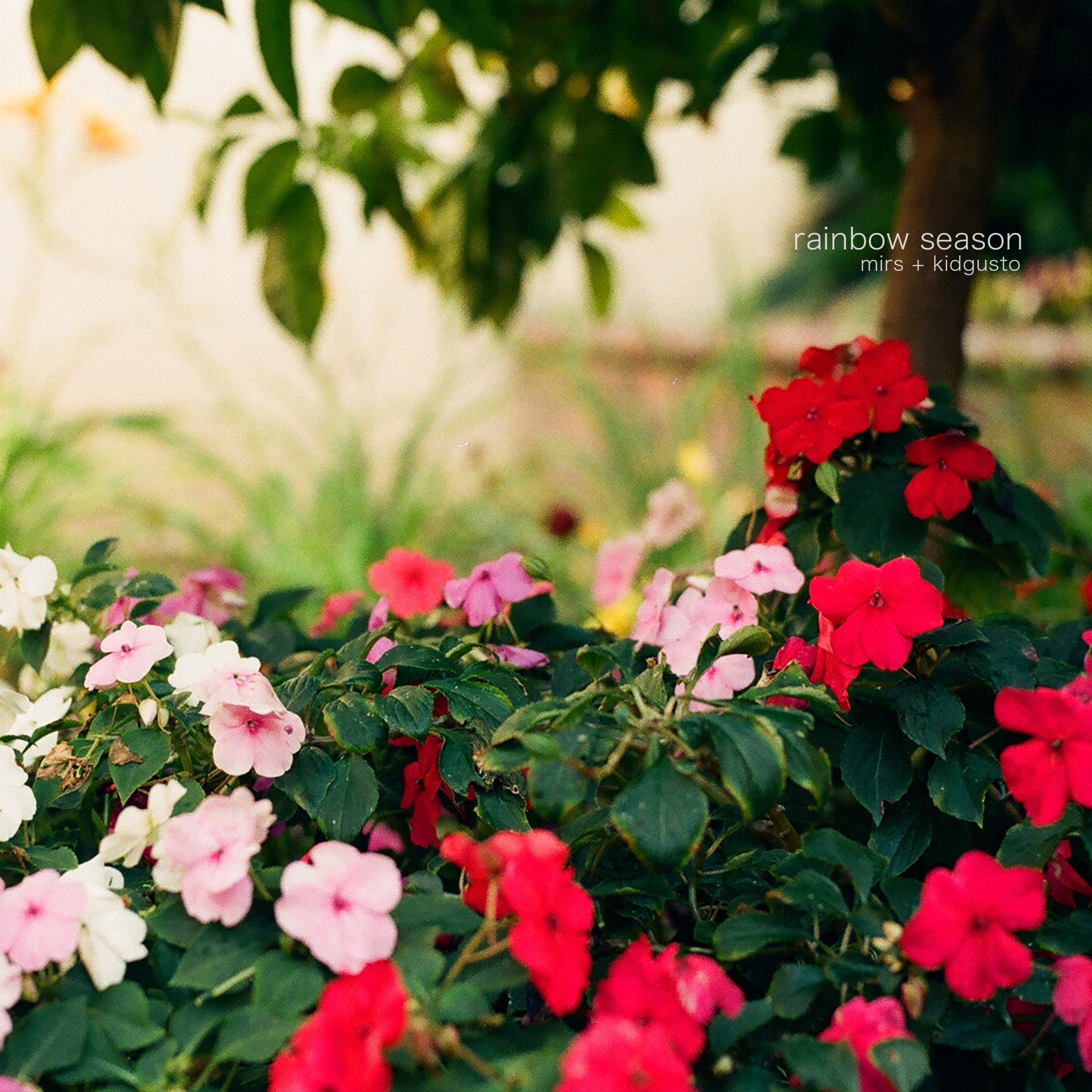 RAINBOW SEASON - Friday, May 24, 2019