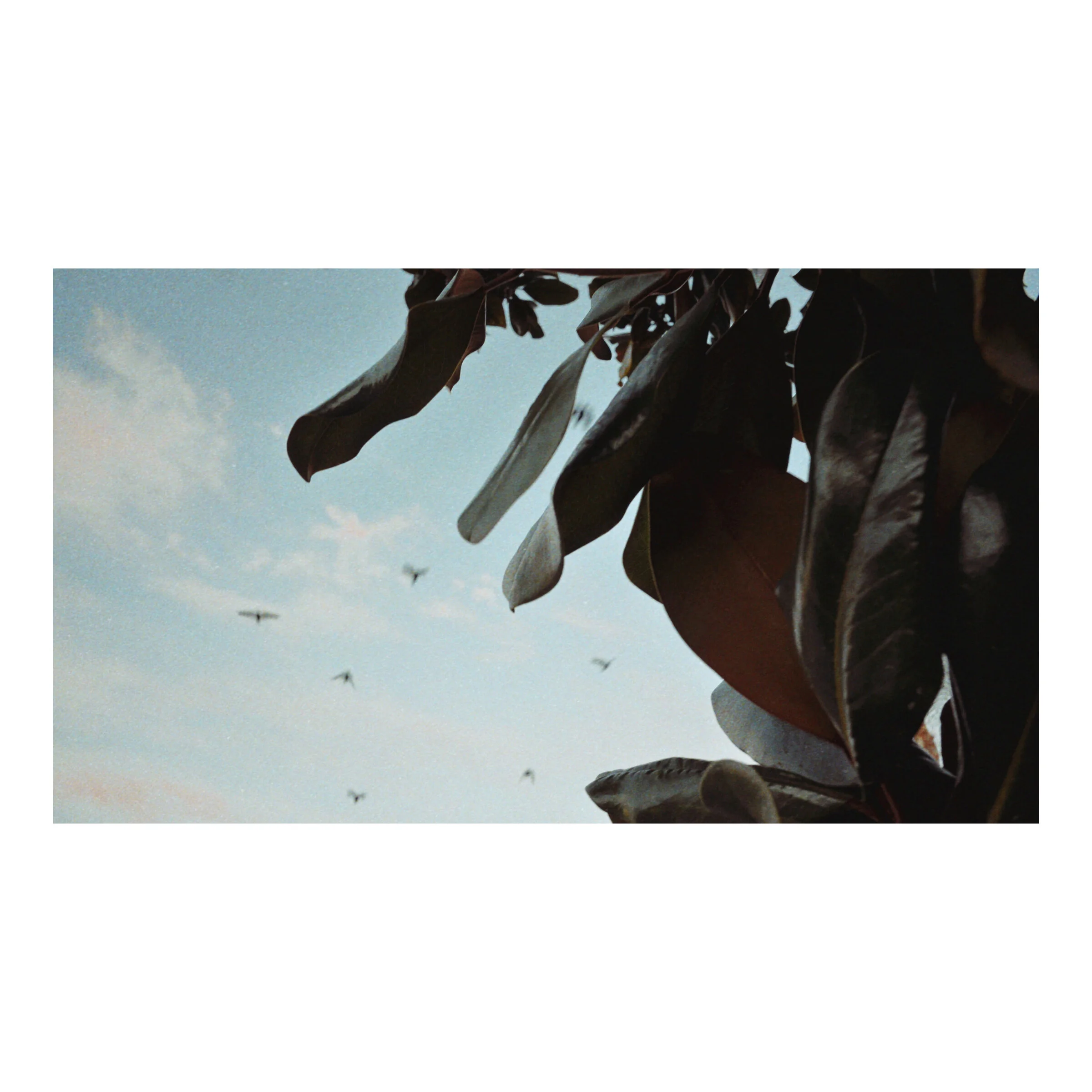 Wishing you health in 2020 and a message to support your artists.