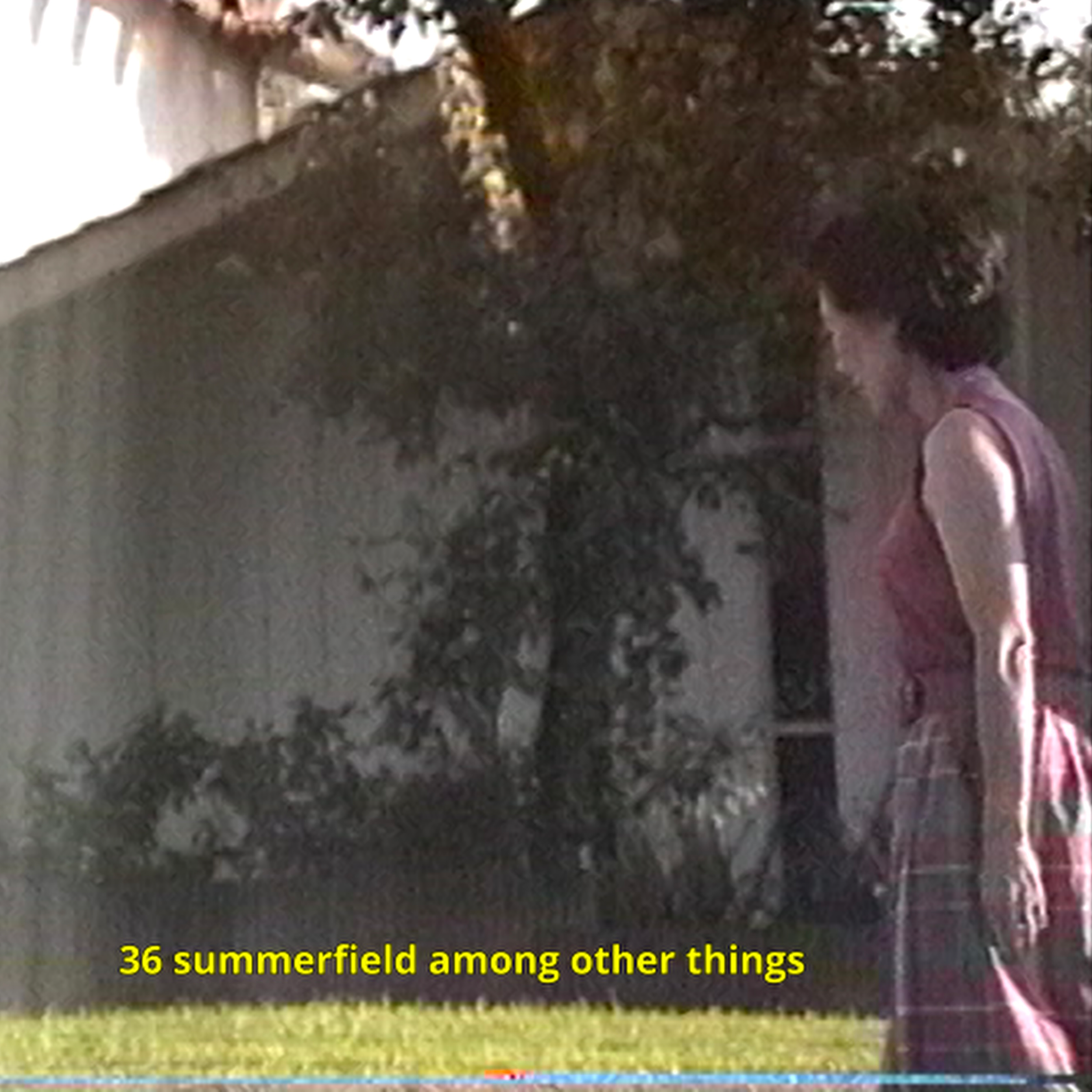 36 summerfield among other things...