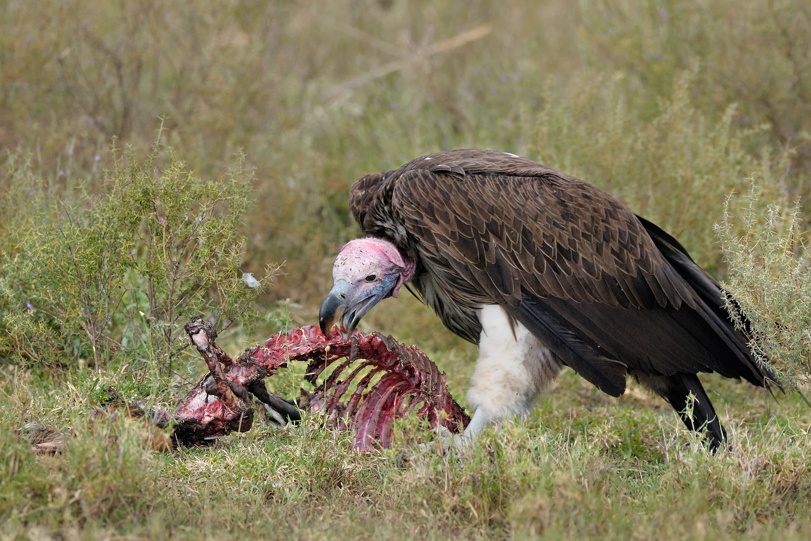 Image: fotopedia.com
