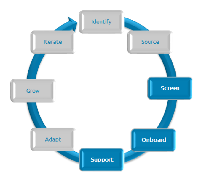 The shaded/blue areas are those services we specialise in over at www.yearone.solutions