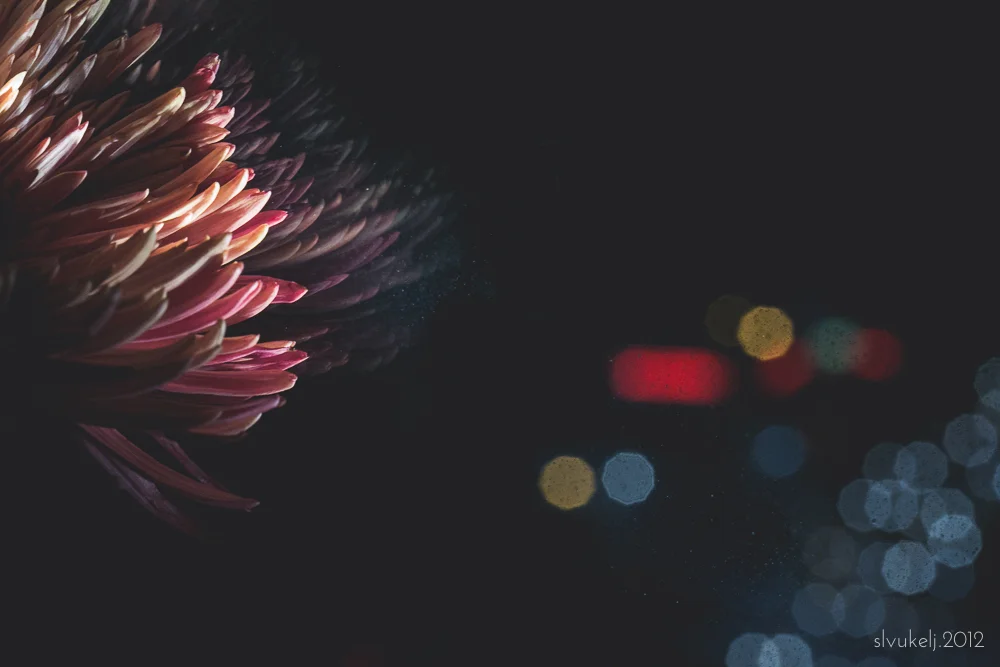 Transient