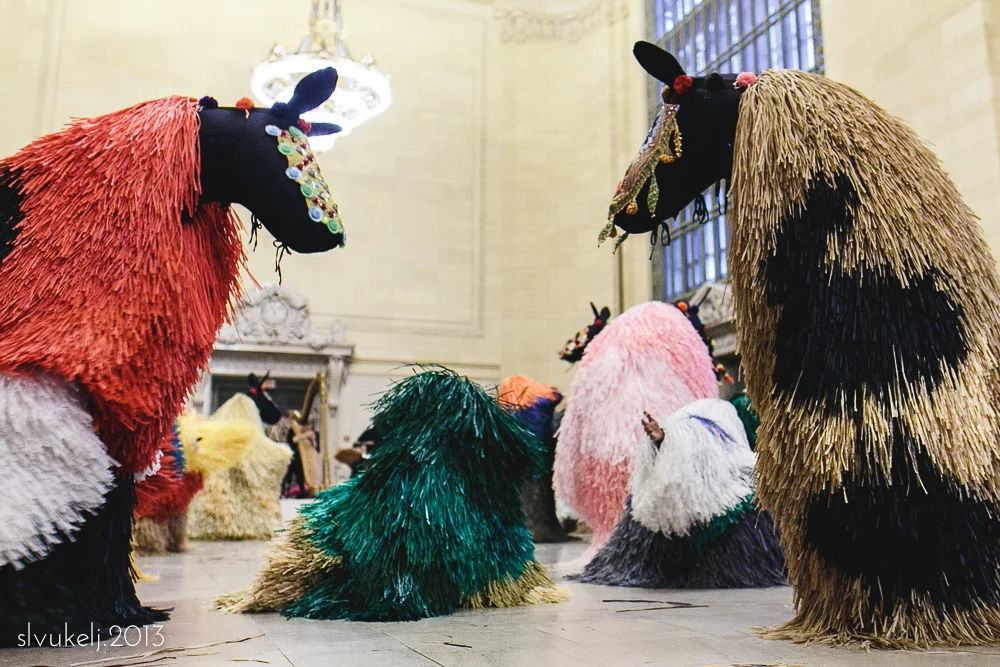 Stacey Leece VukeljLG2A3346007.jpg