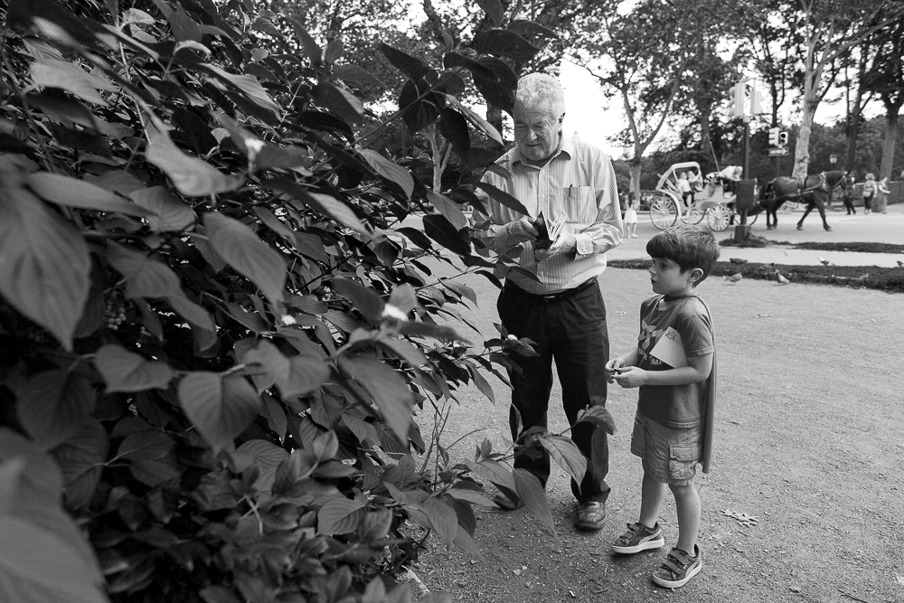 Summer Vacation Day 3 - Flora & Fauna