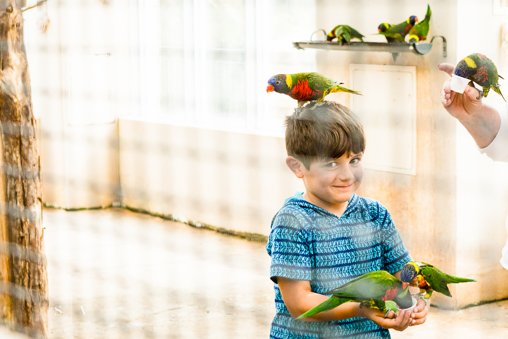 Uninhibited - I never thought I'd see the day he'd let a bird sit (and poop) on his head. 