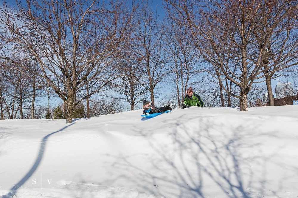 blizzard029.jpg