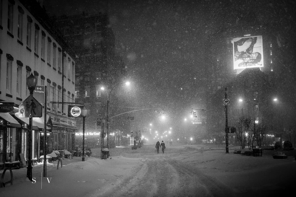 blizzard010.jpg