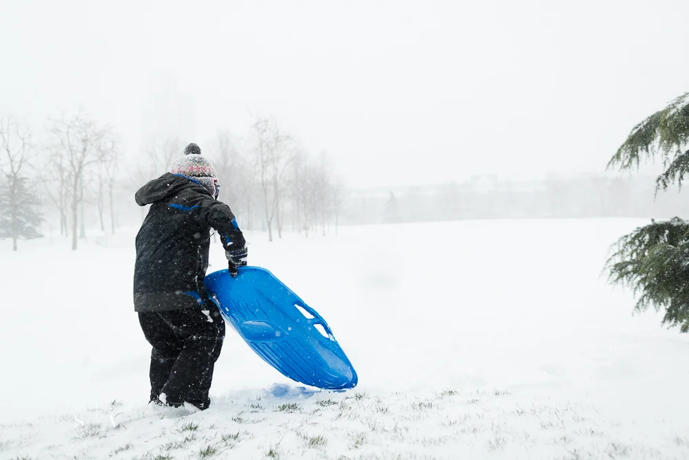 blizzard008.jpg