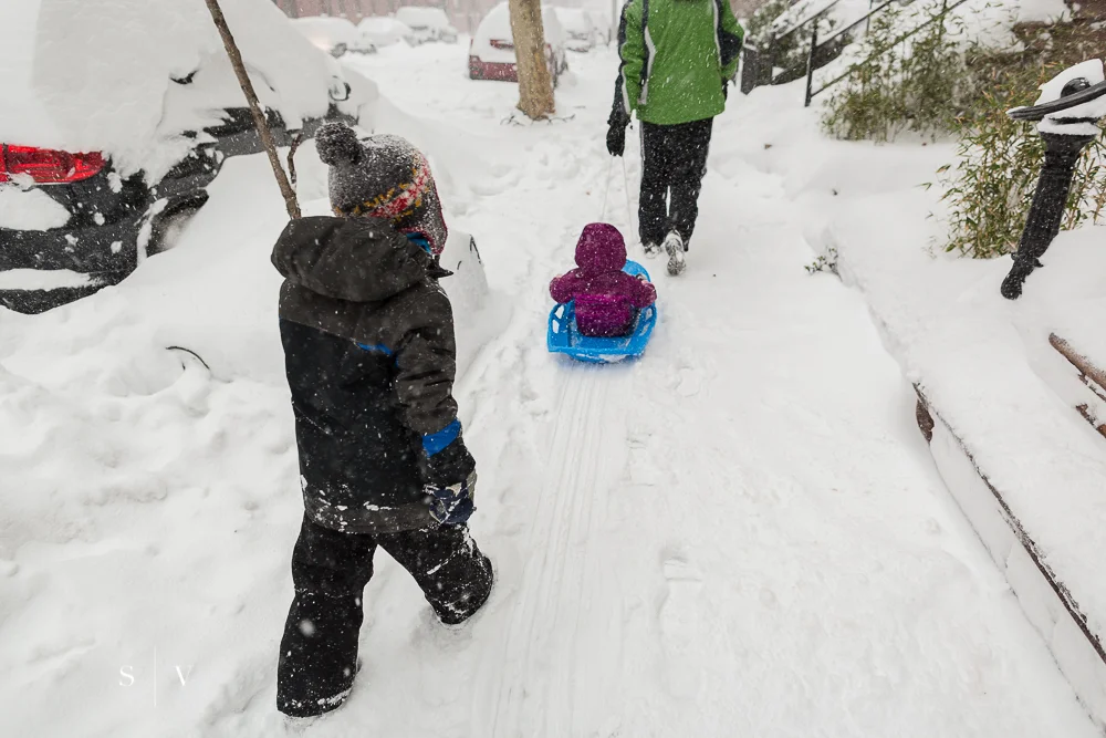 blizzard001.jpg