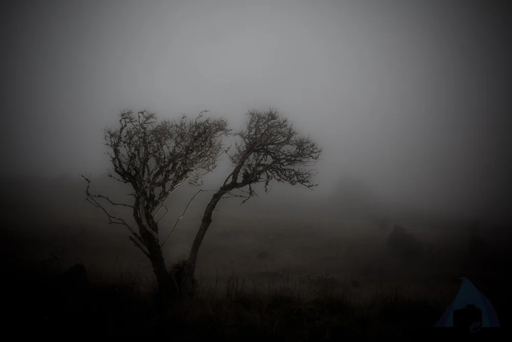 Transient