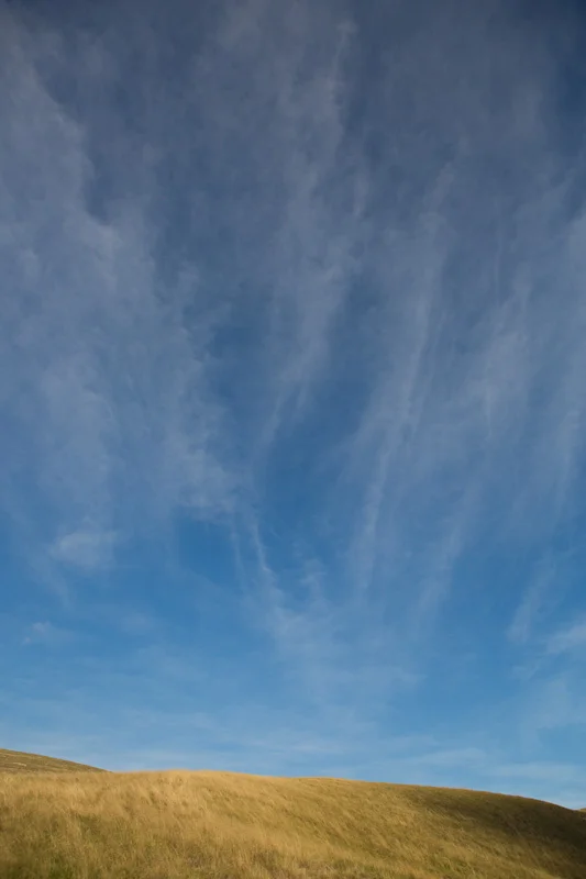 _11A7365_1.jpg