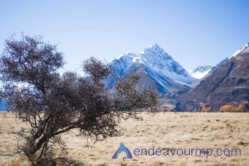 Mt-Cook-New-Zealand-Endeavour-photography_04.jpg