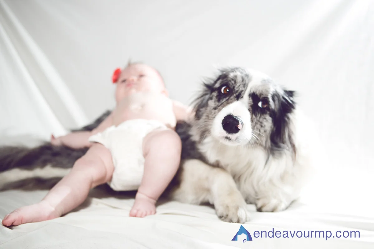 Baby-Portrait-Shoot-Aria_03.jpg