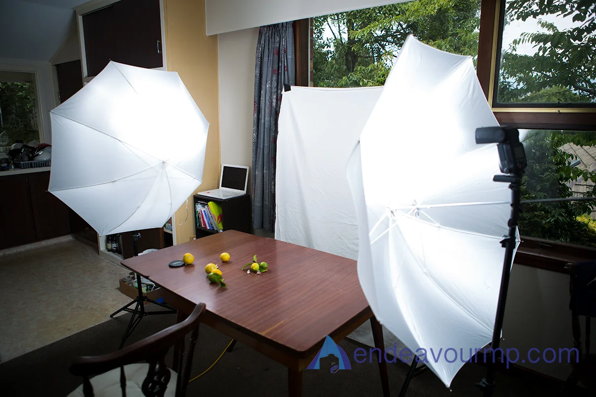 This is the set-up I used! Not highly technical, but the light was magical! 
