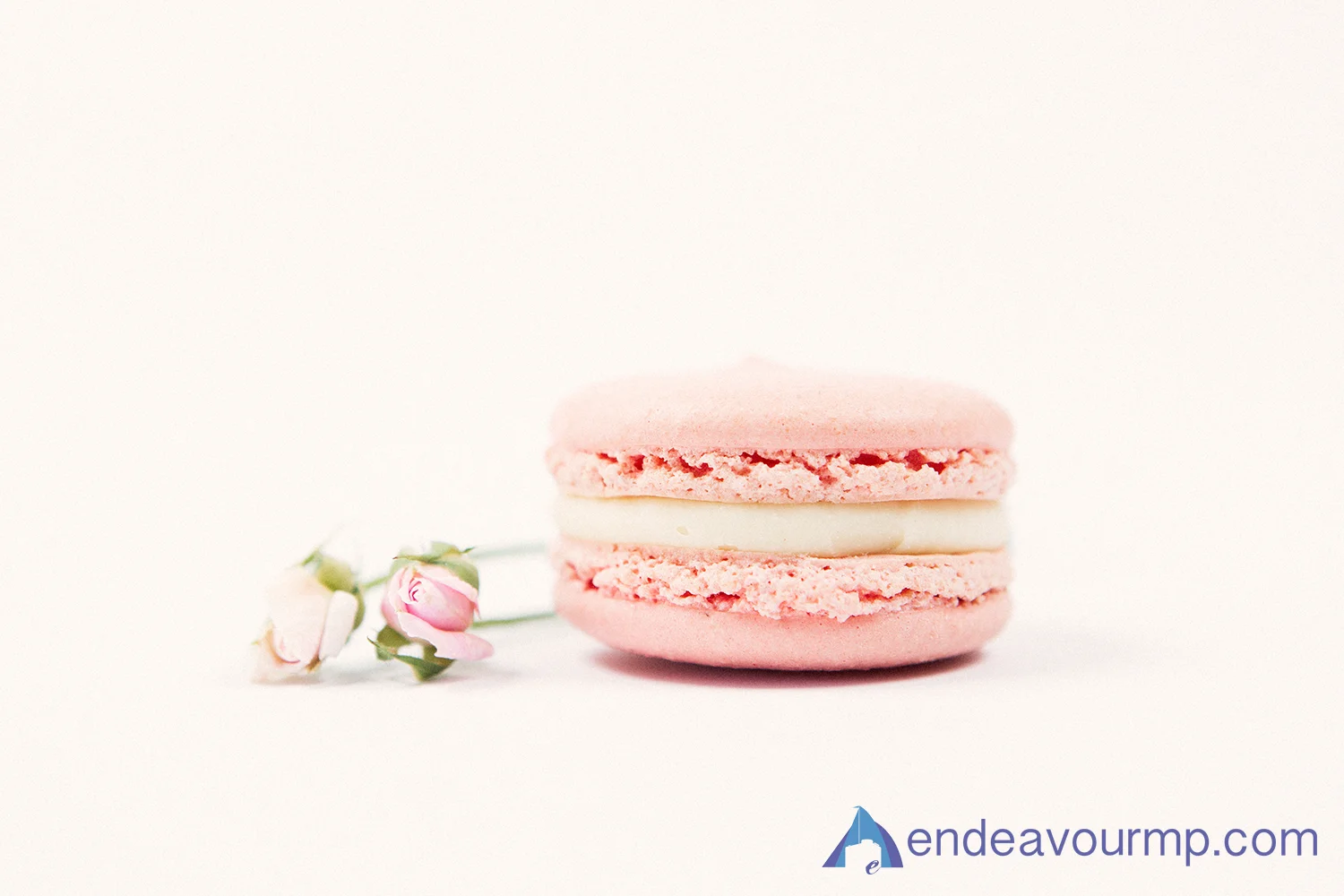 2015_EMP_Valentines_Day001.jpg