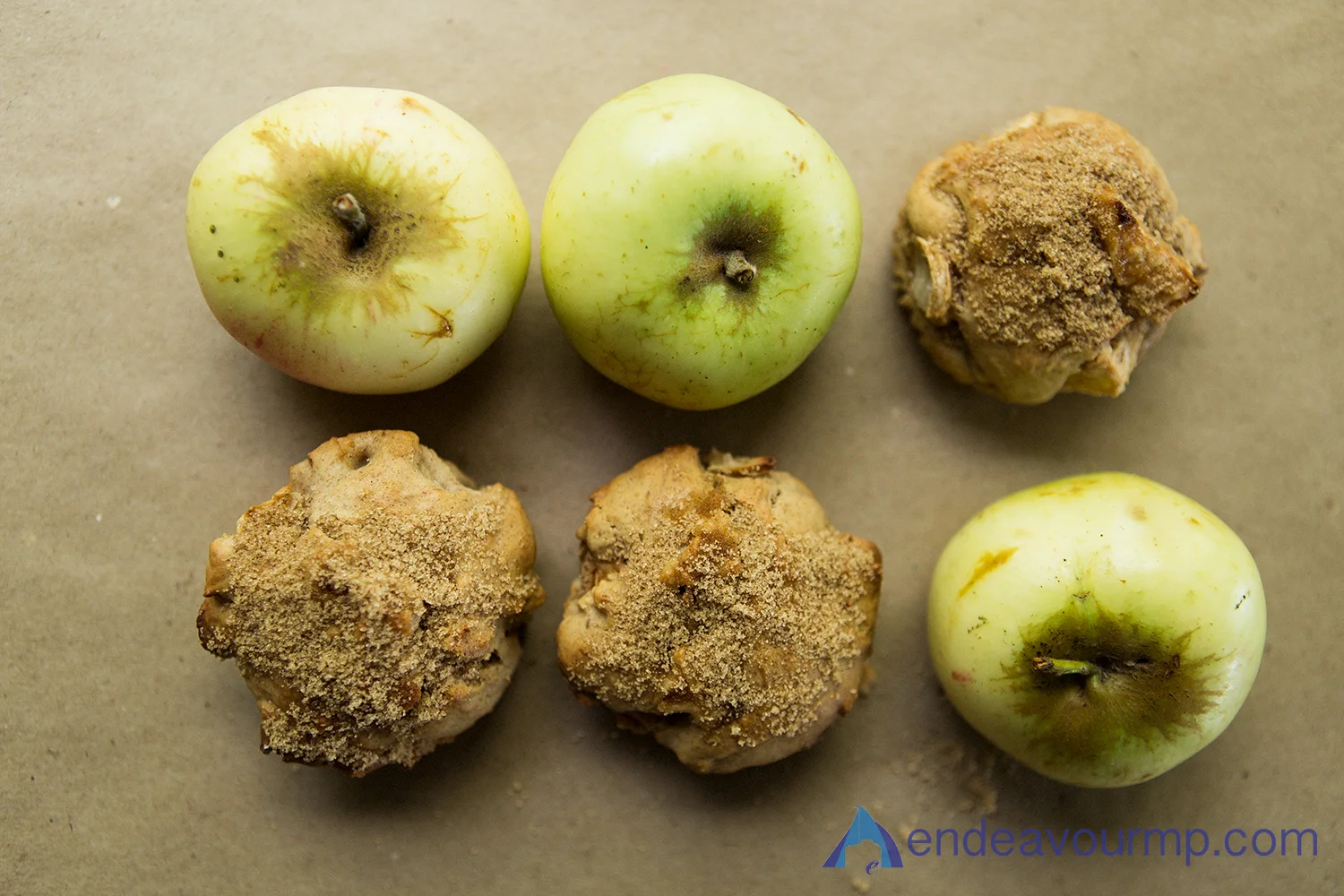 EMP_Food_applemuffin_006.jpg