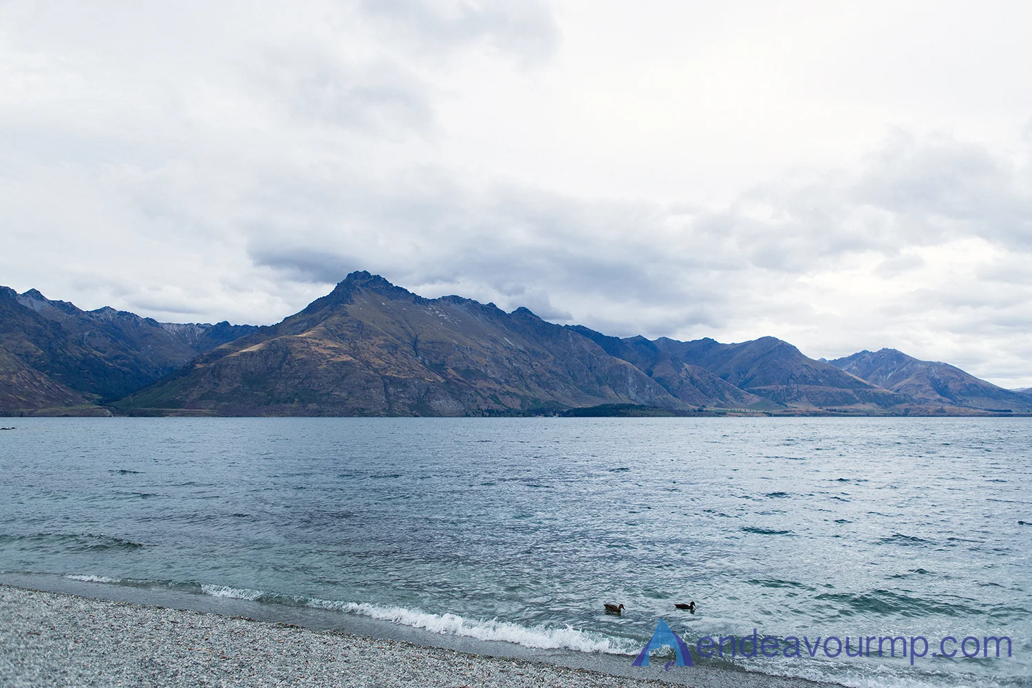 EMP_QUEENSTOWN_008.jpg