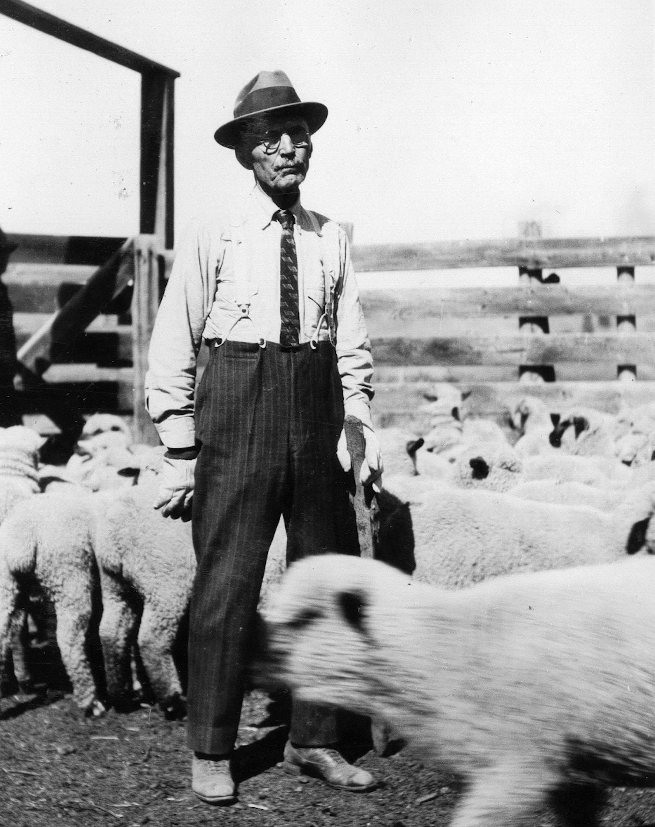 Henry Sieben circa 1936