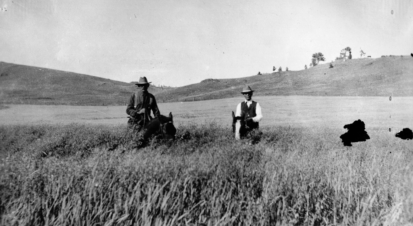 Henry Sieben with foreman Peter Nelson circa 1930