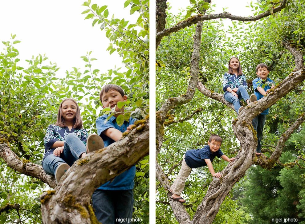 three-siblings-climbing-tree-seattle-family-photography-kirkland.jpg