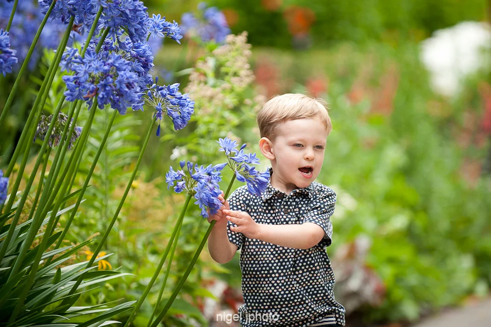 three-year-old-boy-smelling-flower-seattle-portrait-3.jpg