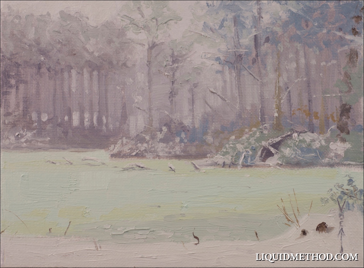 Winter Turtle Pond