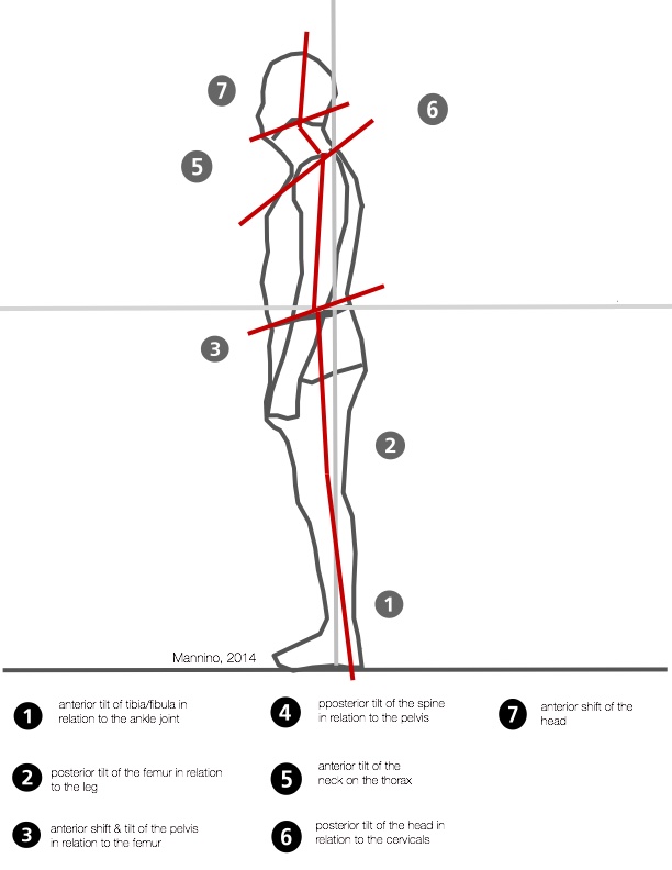 Click on image to enlarge. Illustration © 2014, Andrew Mannino