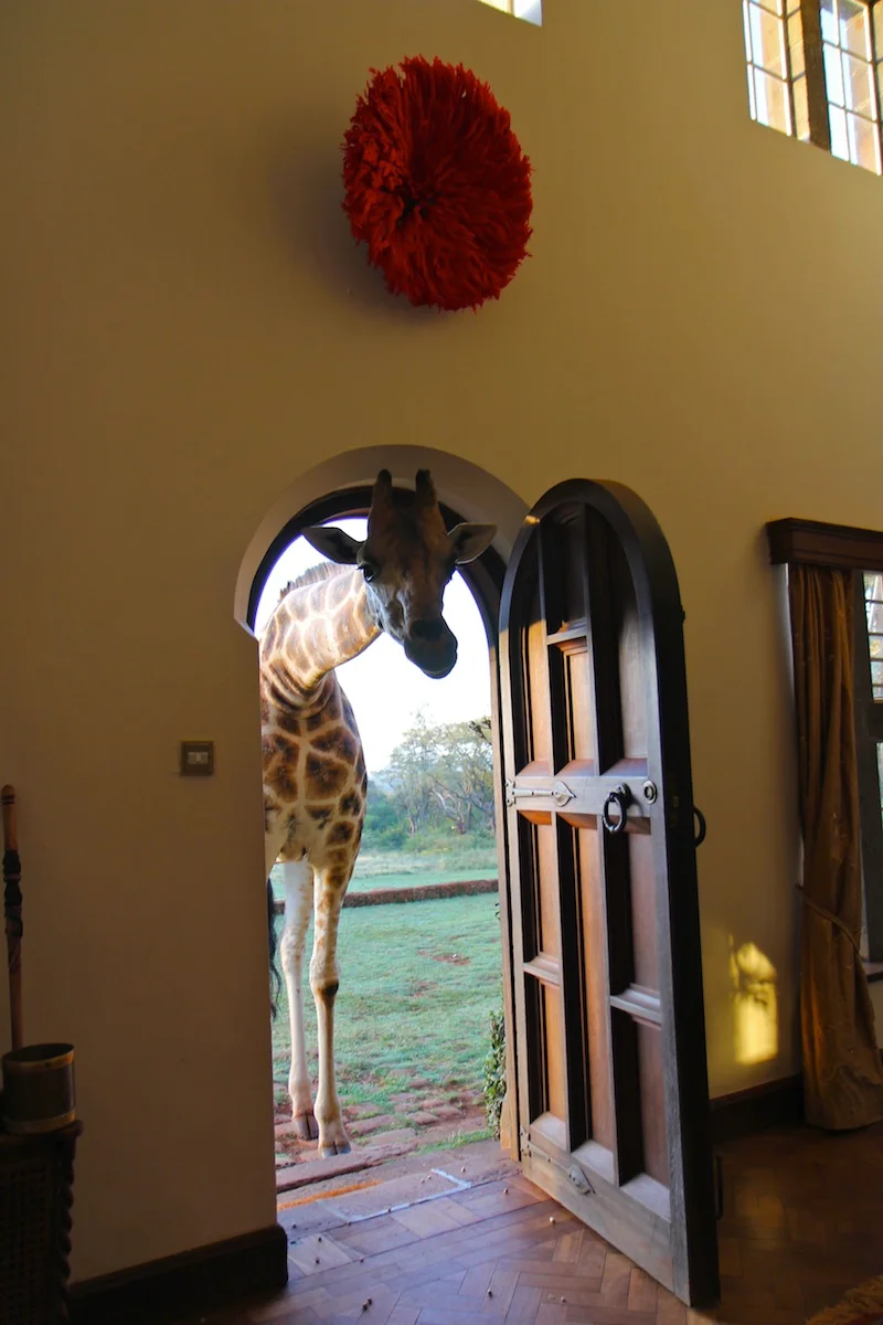 423012AfricaDay2-060web.jpg