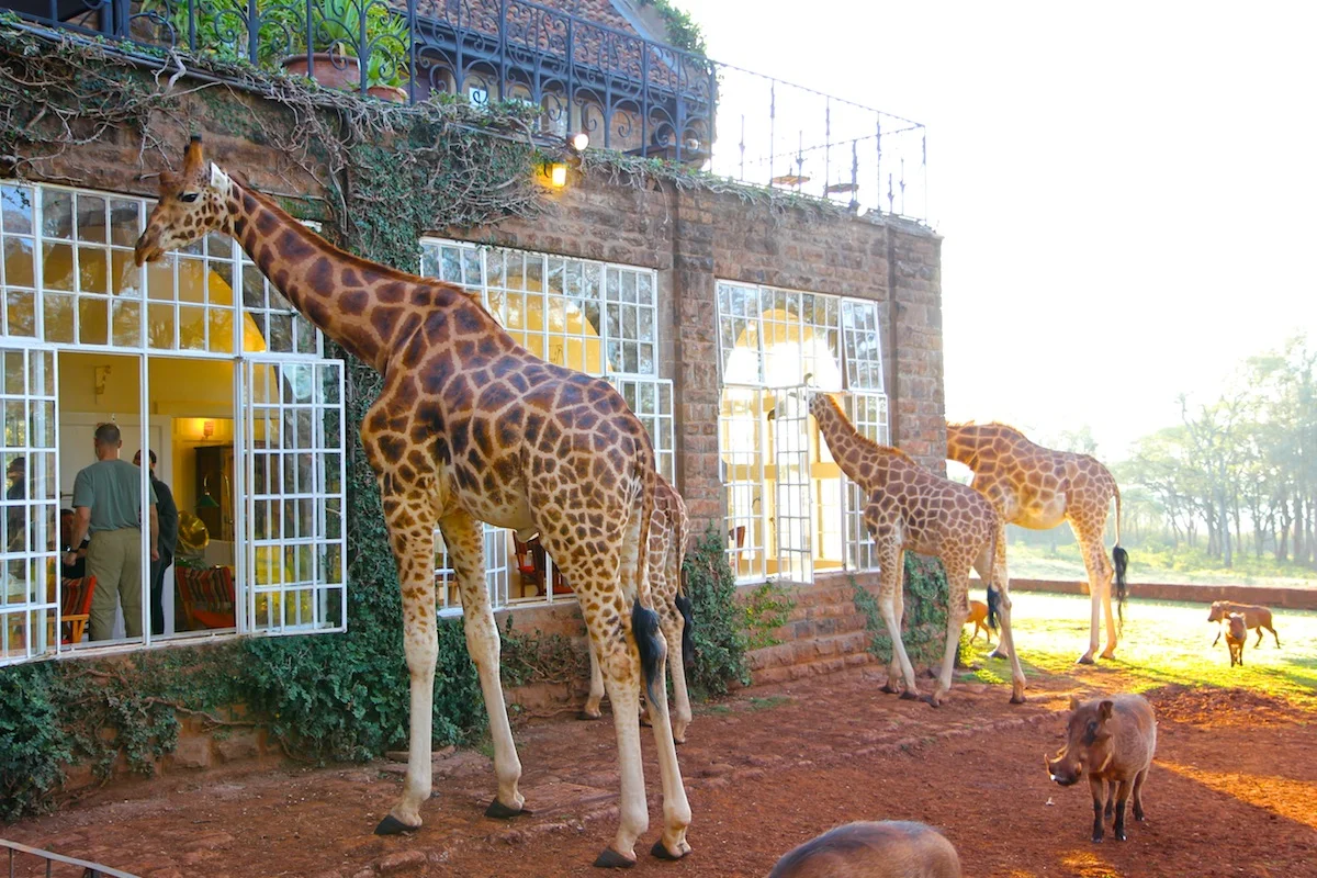 428012AfricaDay2-145web.jpg