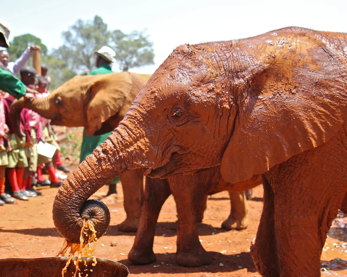 454012AfricaDay2-418web.jpg