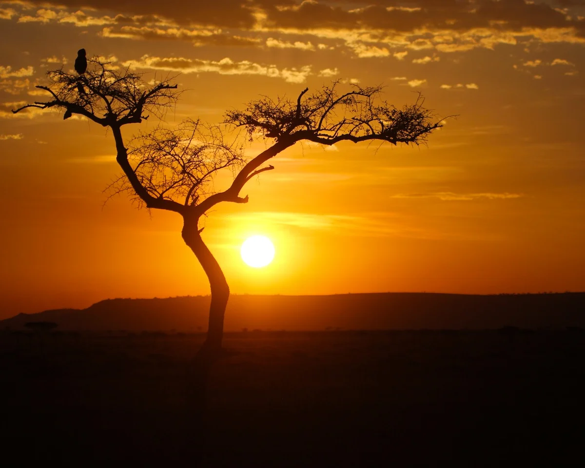 561015AfricaDay4-1054web.jpg