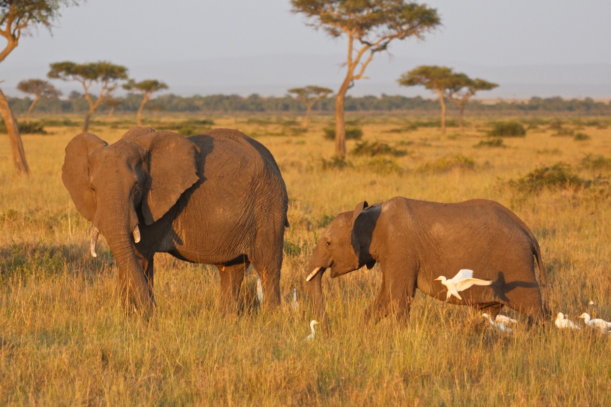 560015AfricaDay4-1006web.jpg
