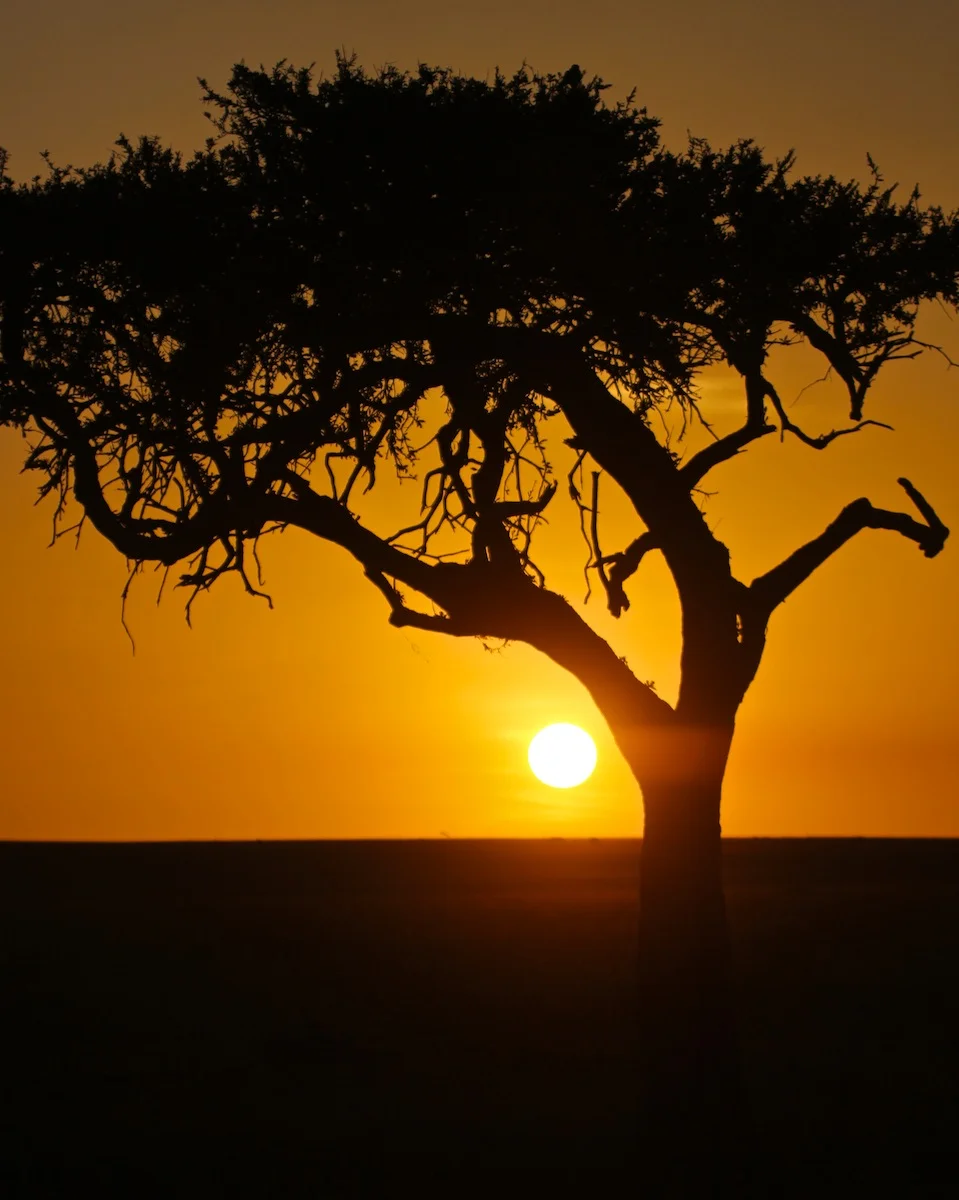 570018AfricaDay5-036web.jpg
