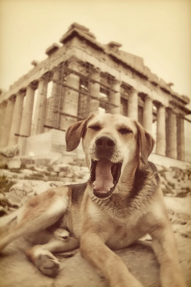 629021Athens2-025web.jpg