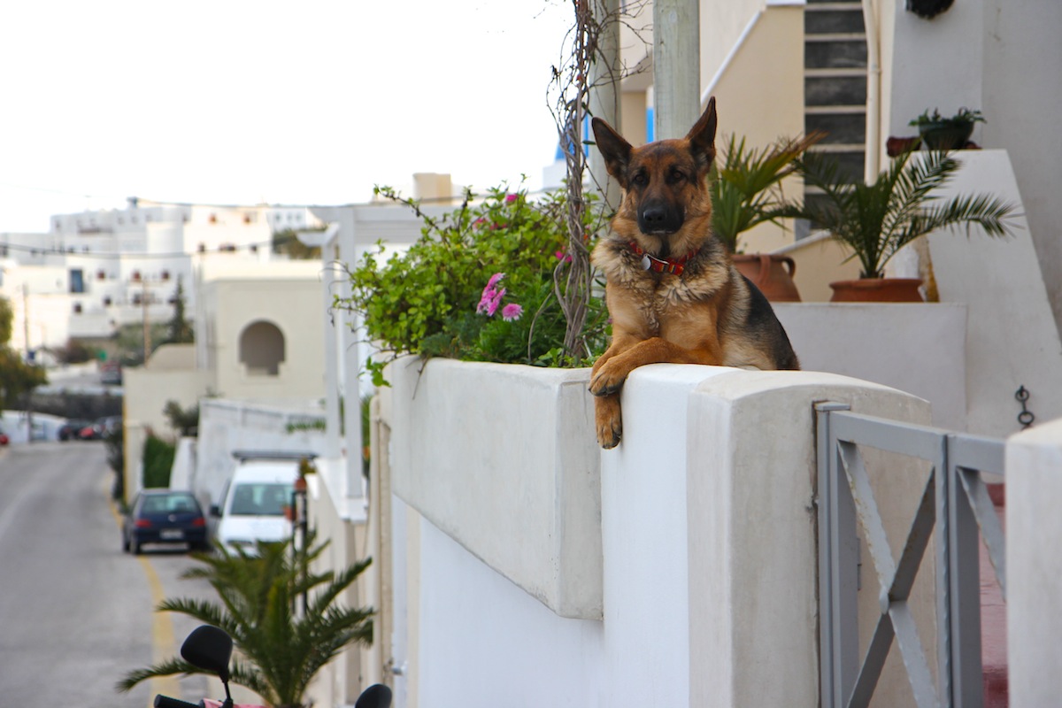 666024Santorini3-112web.jpg