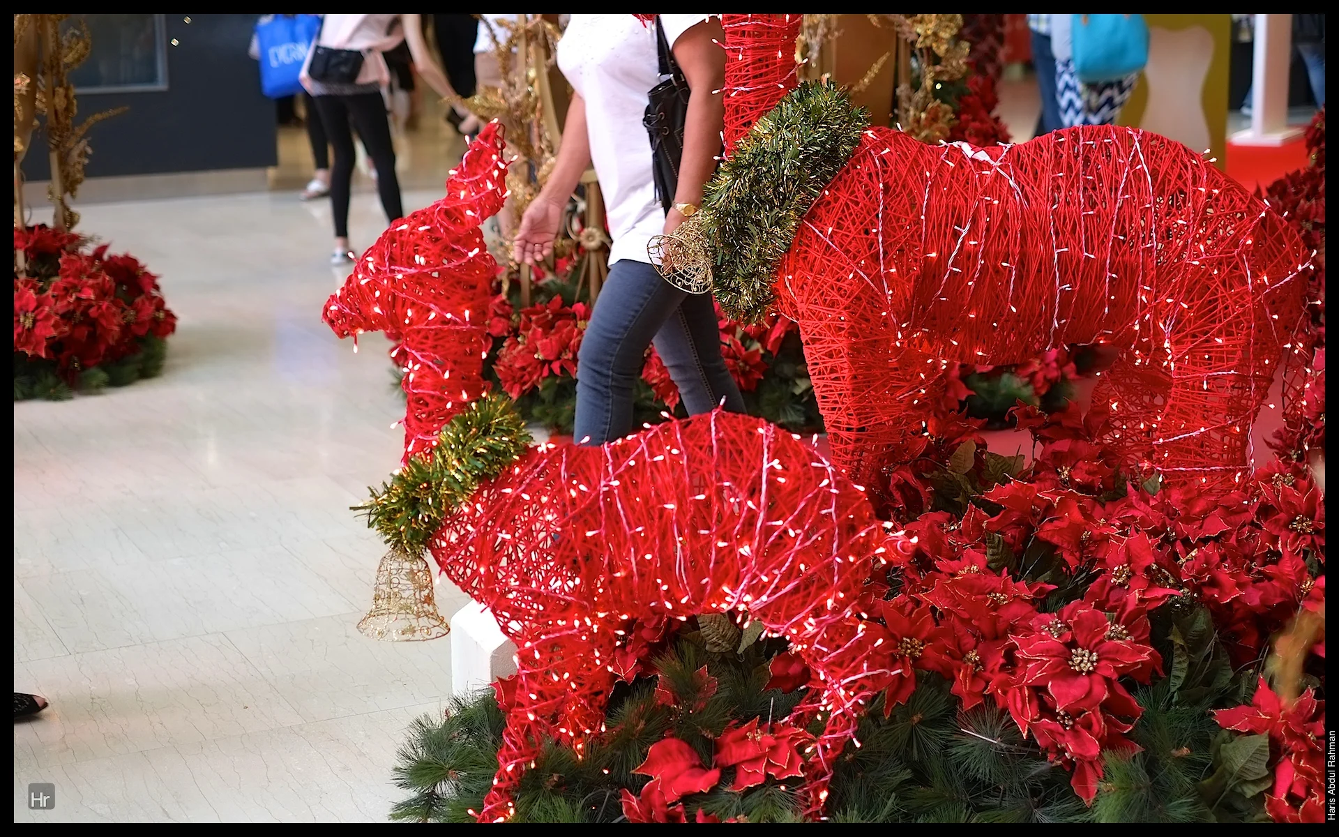 121118 Xmas Pavilion 11.jpg