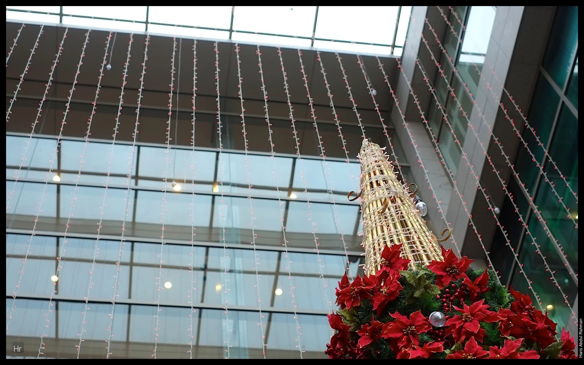 121118 Xmas Pavilion 21.jpg