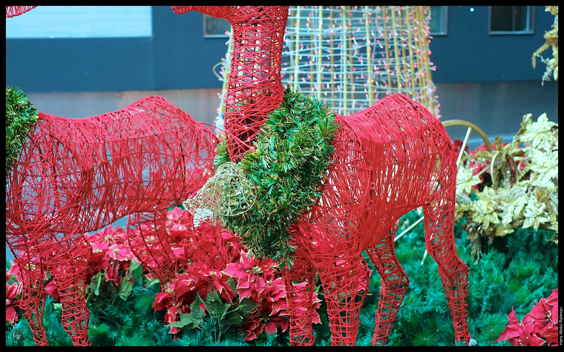 121118 Xmas Pavilion 20.jpg