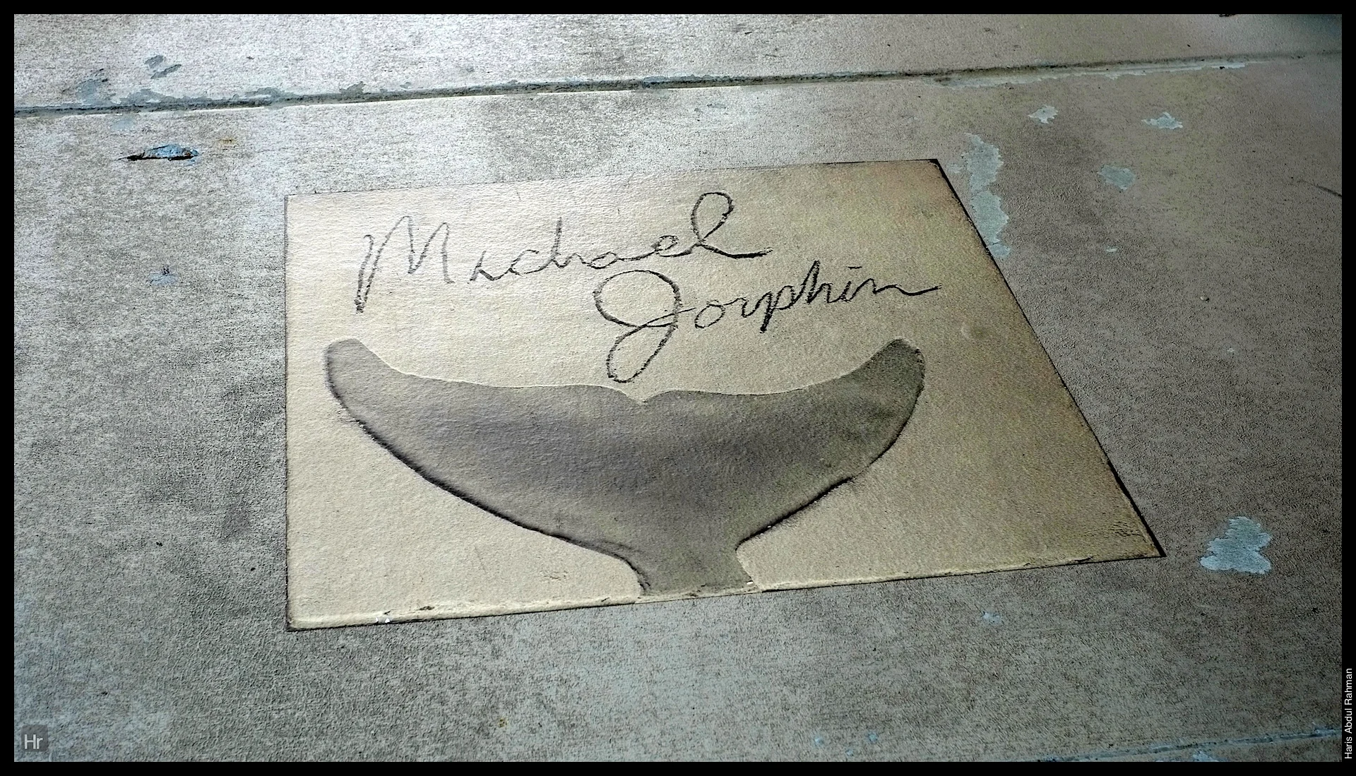121207 Georgia Aquarium 1.jpg